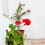 Casa de Campo Maribel *