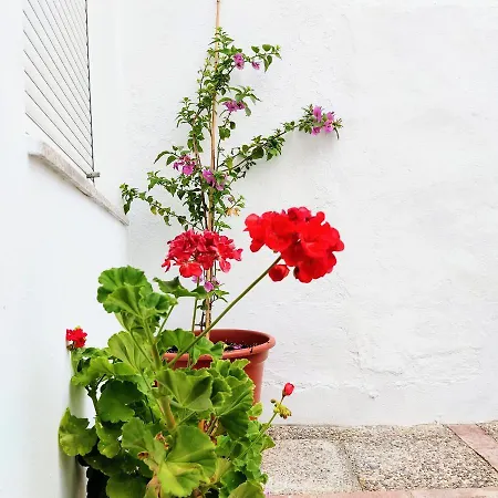 Casa di campagna Maribel *