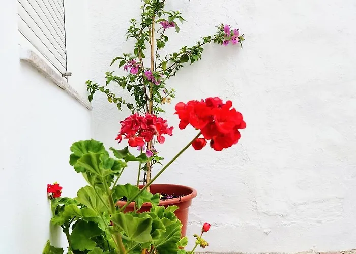 Country house Maribel *